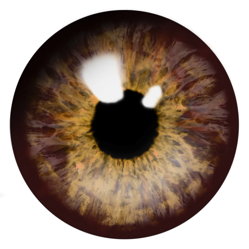 Eye Examination